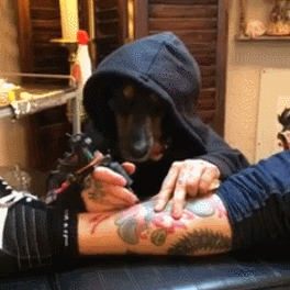 giphy_tattoo